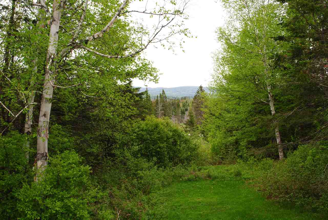 1989 Cabot Plains Road Cabot, VT 05647 - Photo 23 of 25