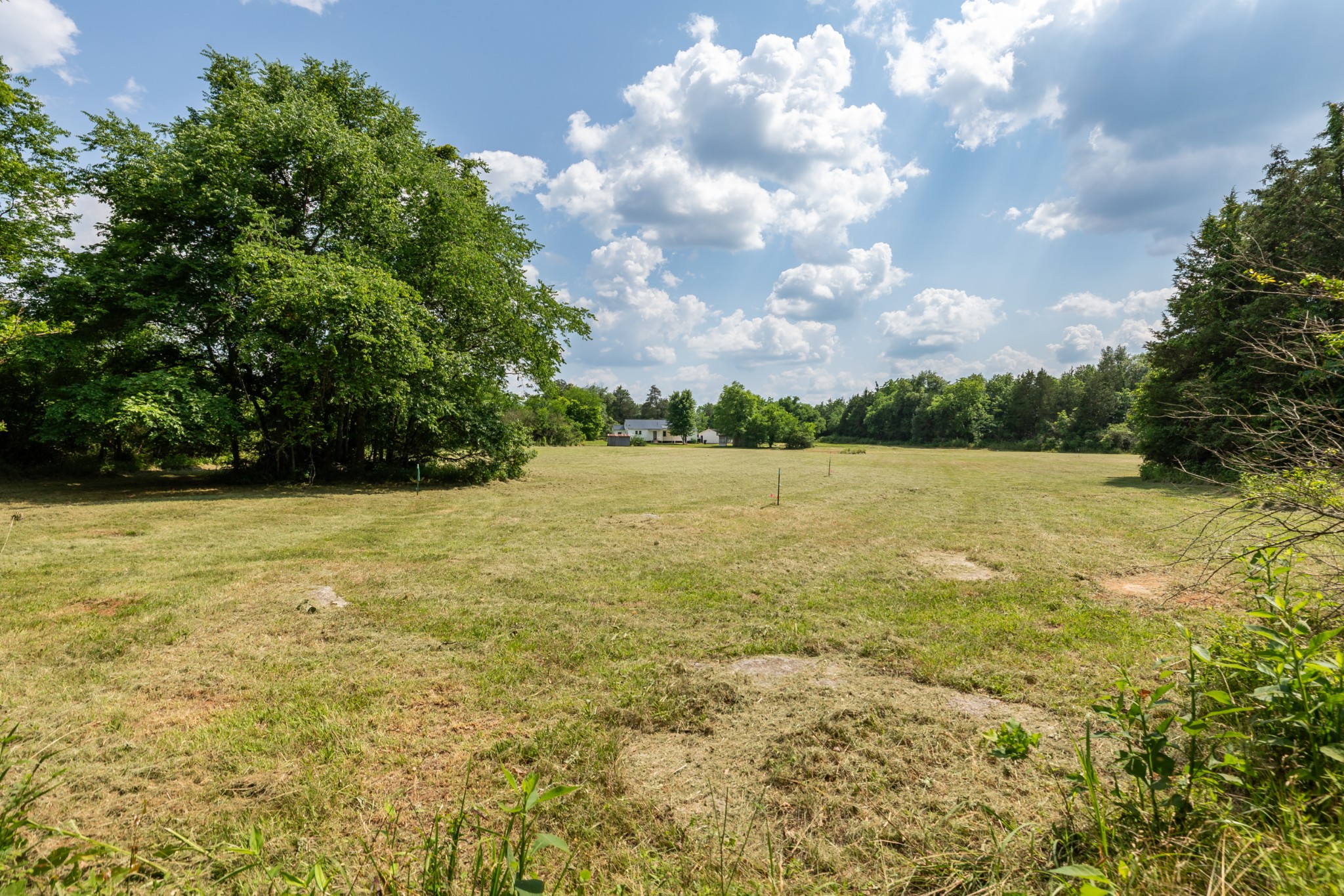 0 Anes Station Road Lewisburg, TN 37091 - Photo 2 of 4 a view of yard with lake view