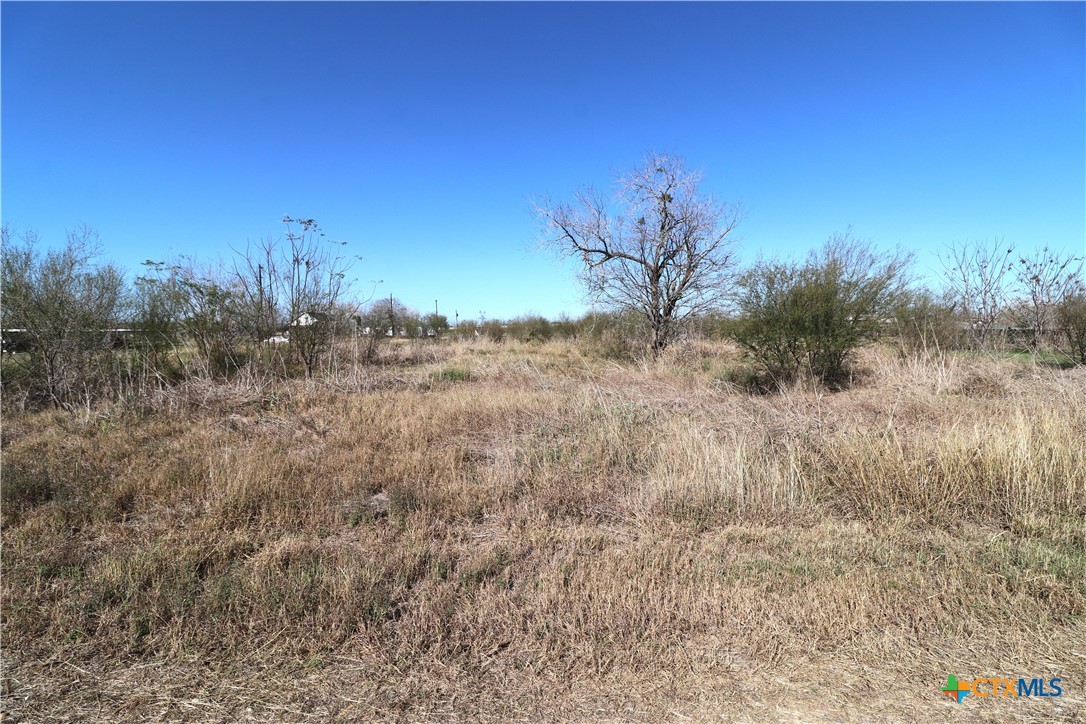 0 Cotton Street Fannin, TX 77960 - Photo 18 of 25