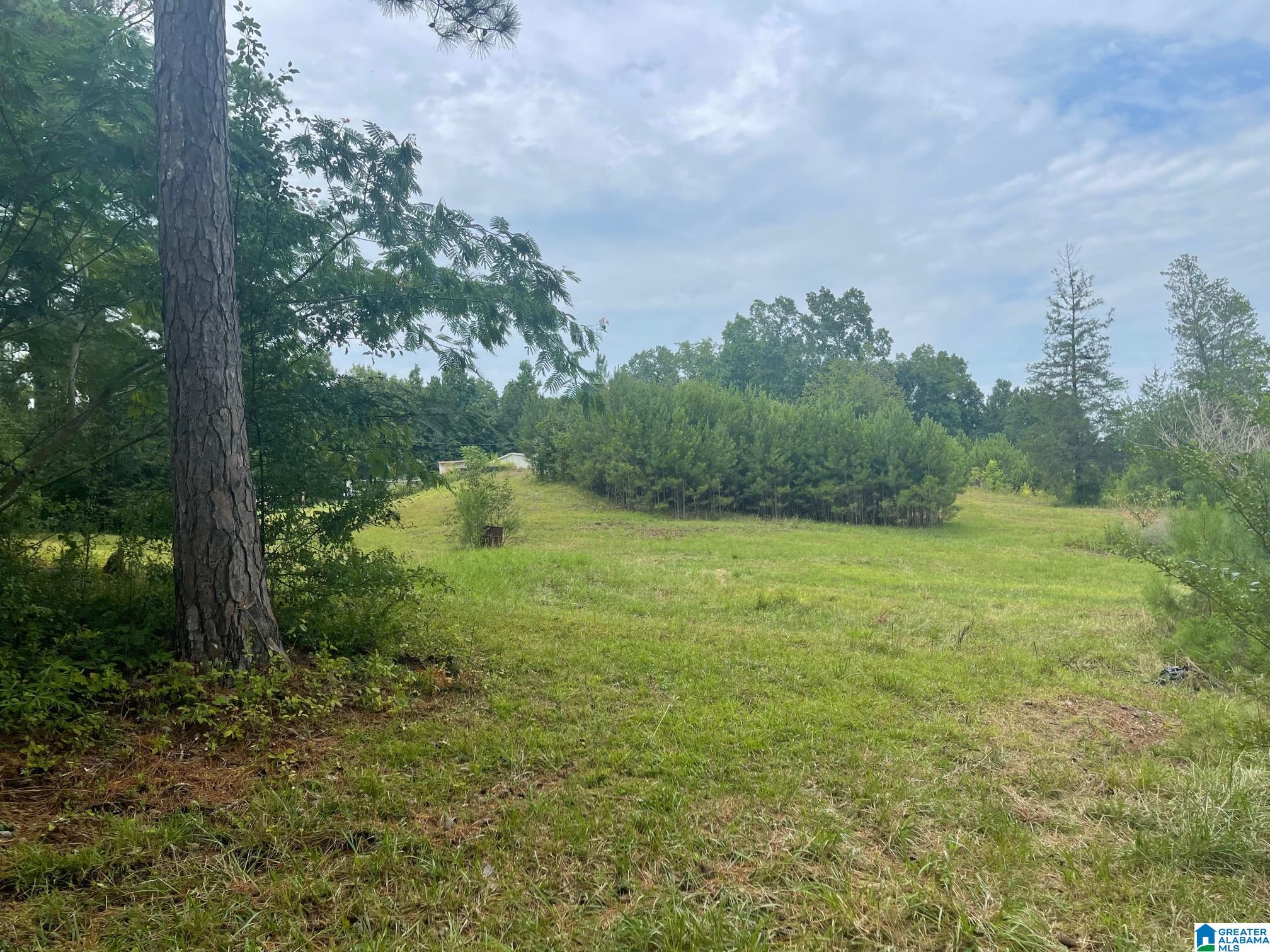 190 Silver Loop Road Columbiana, AL 35051 - Photo 21 of 21