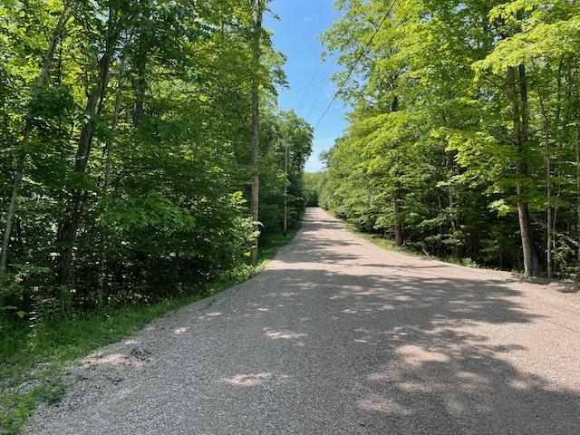 Lot 28 Fawn Lane Ellison Bay, WI 54210 - Photo 7 of 8