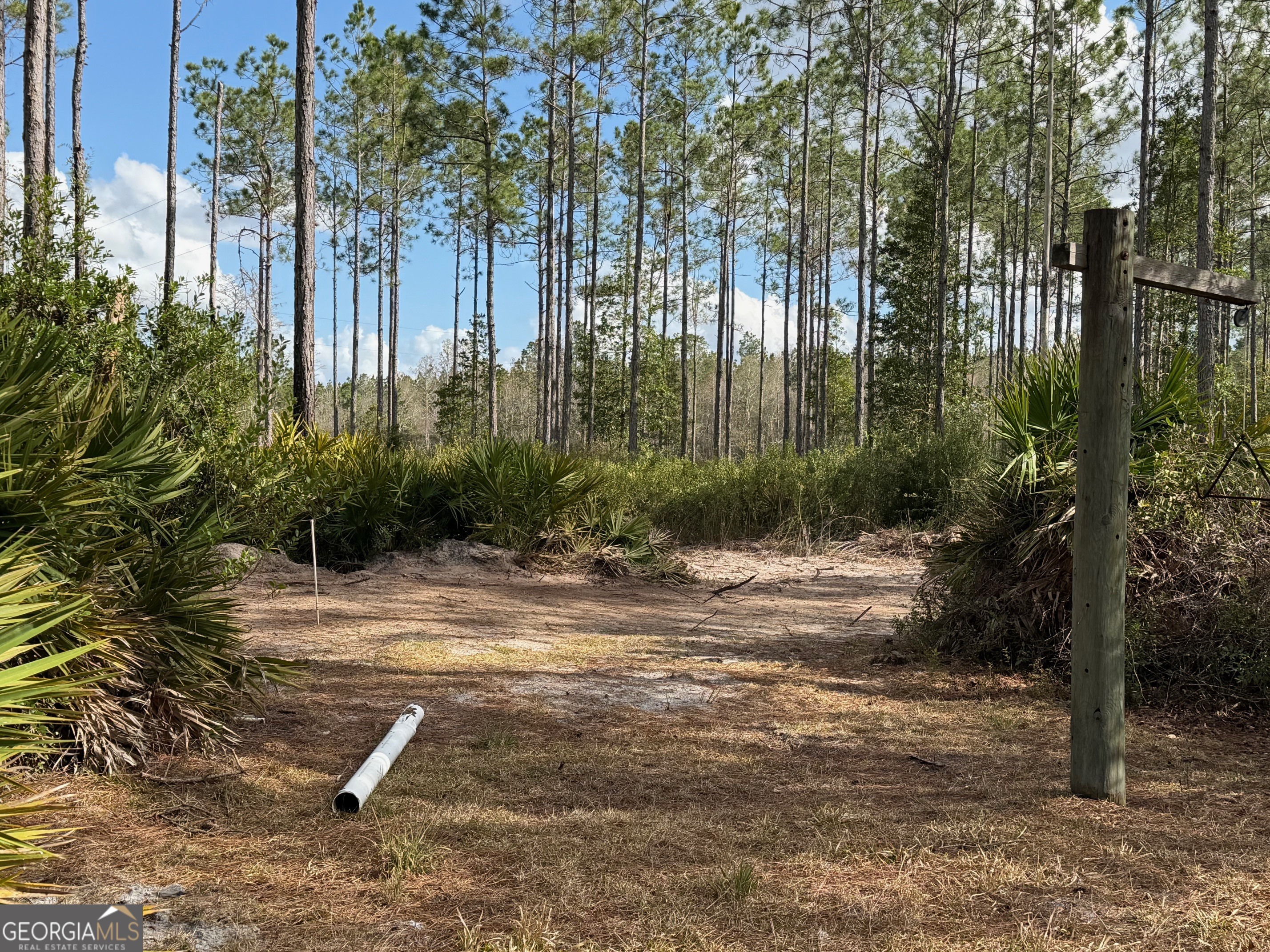 6642 Old Moniac Road St. George, GA 31562 - Photo 19 of 33