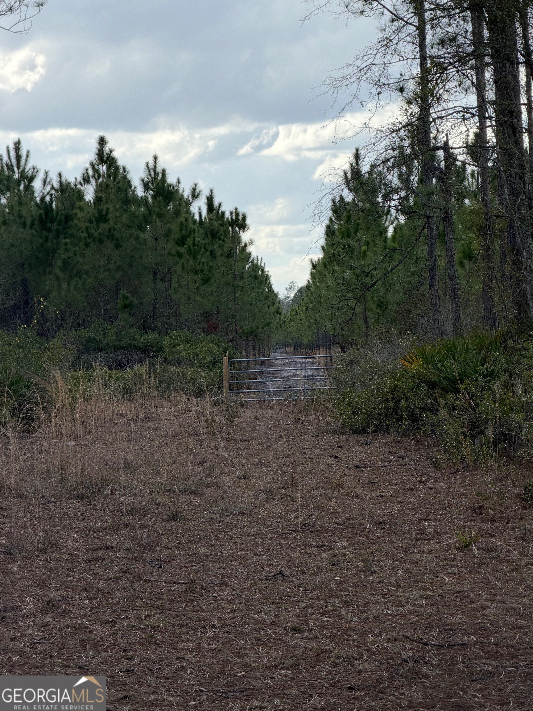 6642 Old Moniac Road St. George, GA 31562 - Photo 24 of 33