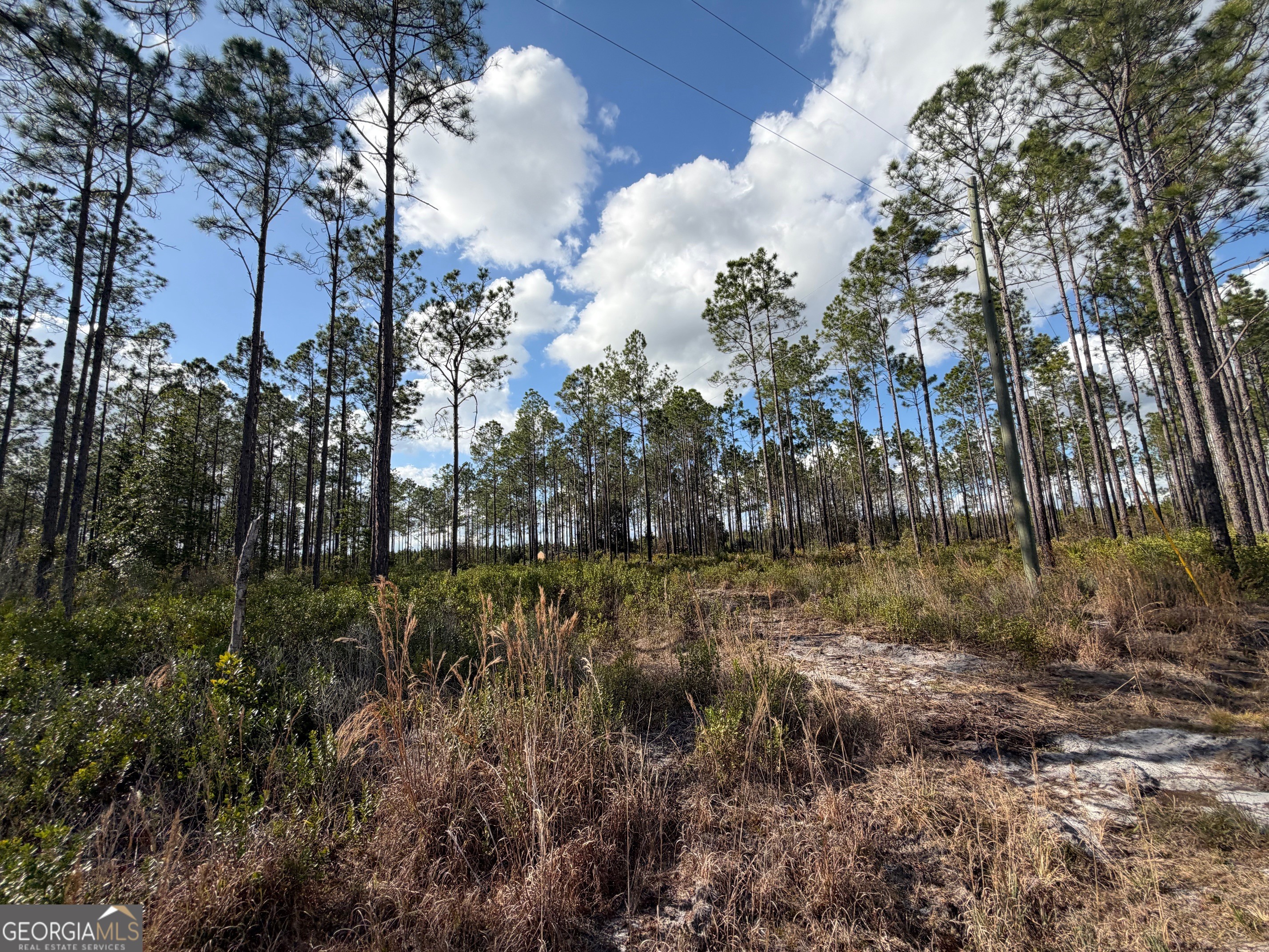 6642 Old Moniac Road St. George, GA 31562 - Photo 26 of 33