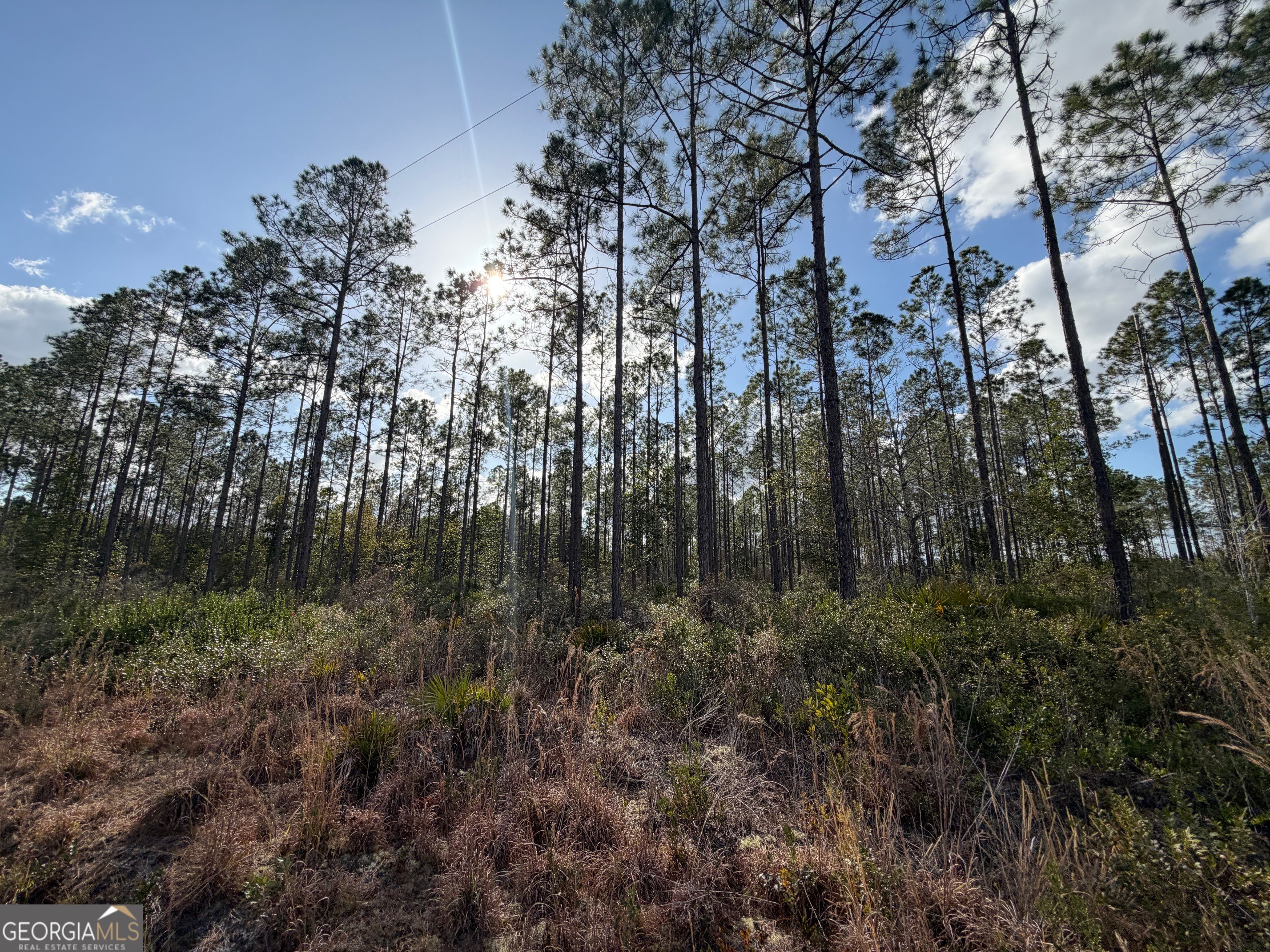 6642 Old Moniac Road St. George, GA 31562 - Photo 27 of 33