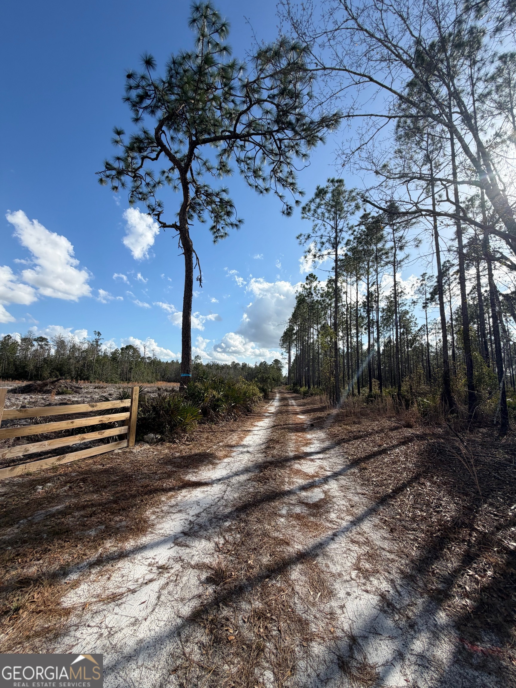6642 Old Moniac Road St. George, GA 31562 - Photo 28 of 33
