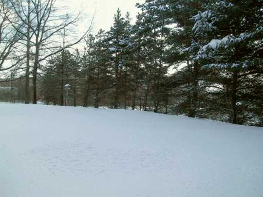 111 Rays Road Fenelton, PA 16034 - Photo 4 of 6 Land.