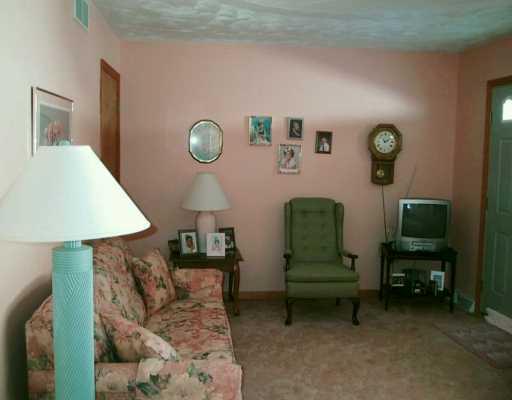 111 Rays Road Fenelton, PA 16034 - Photo 6 of 6 Living Room.