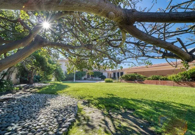 a view of a big yard with large trees