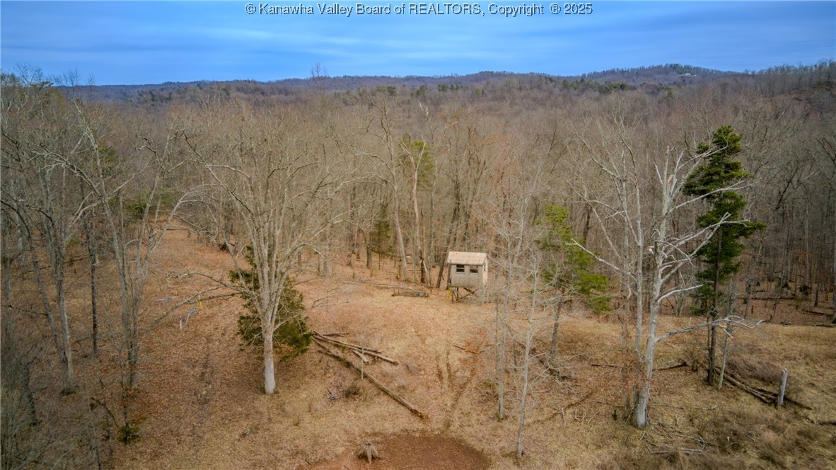 0 Evansview Road Evans, WV 25241 - Photo 27 of 41 Gallery Image 27