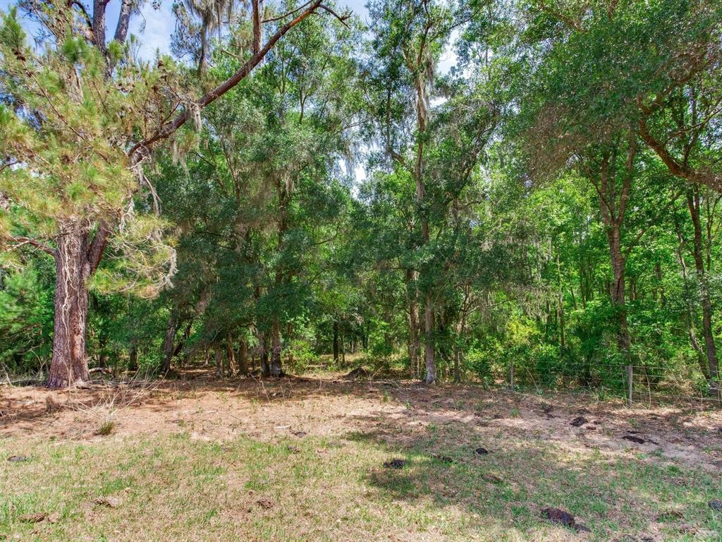 Spring Lake Highway Brooksville, FL 34602 - Photo 15 of 49 a view of outdoor space with trees