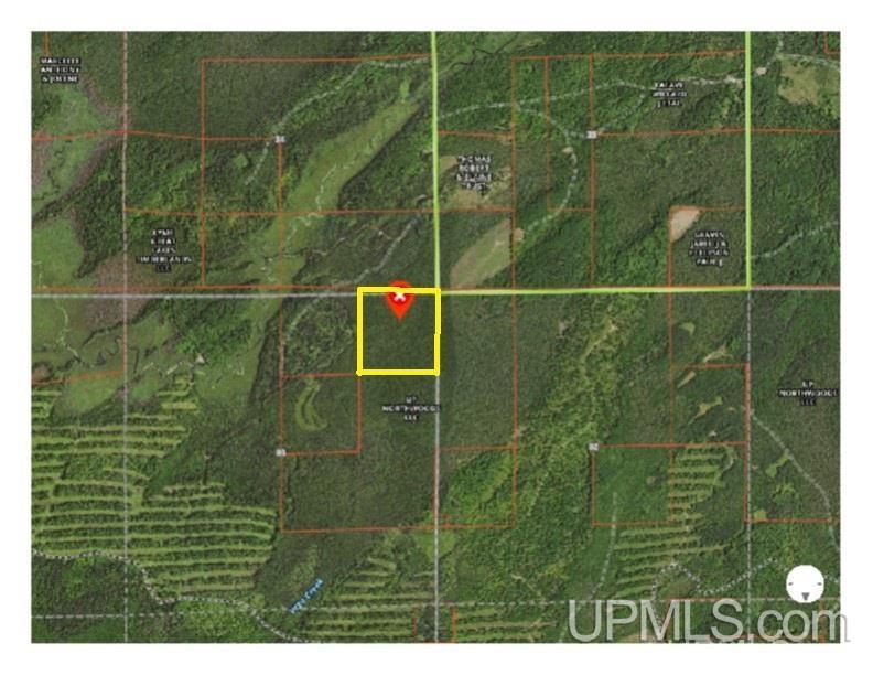 40-acres Vega Road Hermansville, MI 49847 - Photo 5 of 5
