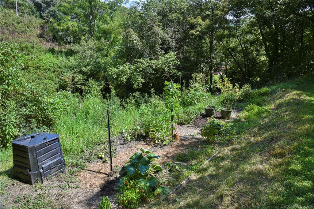6295 Crabtree Road Clyde, NC 28721 - Photo 12 of 37 a view of a yard in a yard