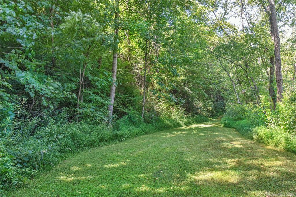 6295 Crabtree Road Clyde, NC 28721 - Photo 13 of 37 a view of a lush green forest
