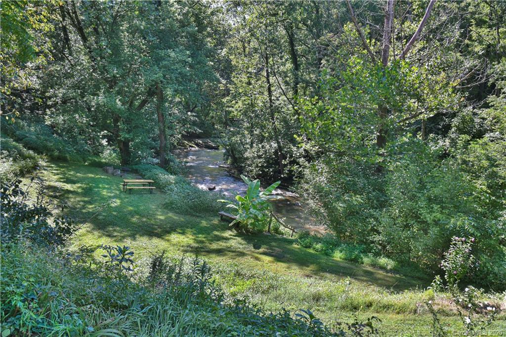 6295 Crabtree Road Clyde, NC 28721 - Photo 36 of 37 a view of a forest