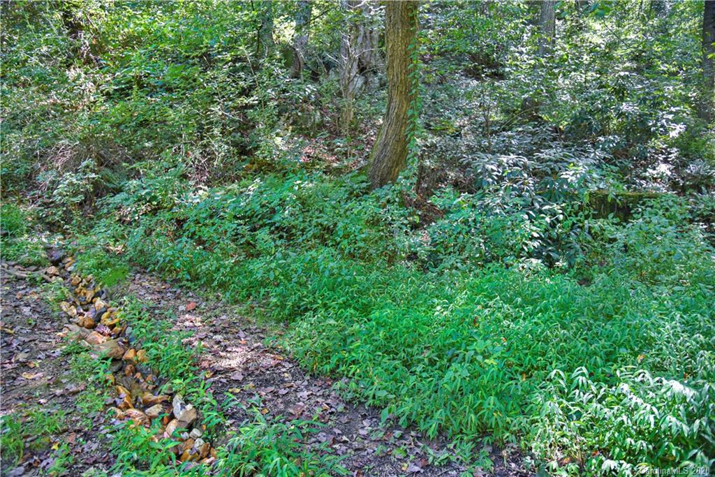 6295 Crabtree Road Clyde, NC 28721 - Photo 6 of 37 a view of a lush green forest with lawn chairs