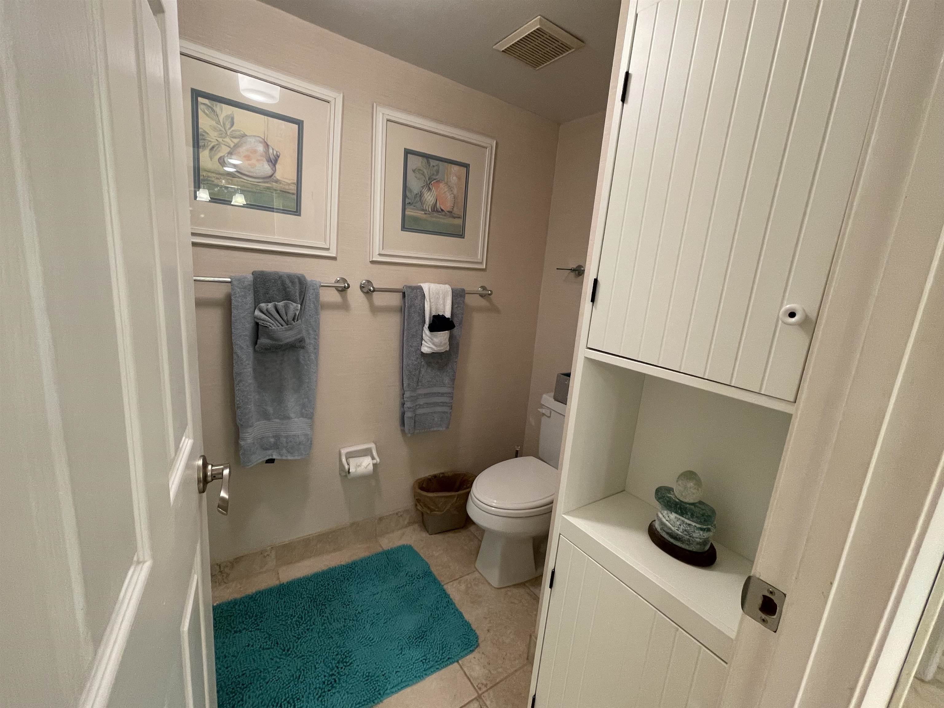 213 Pacifica Vista Way St. Augustine, FL 32080 - Photo 24 of 29 a bathroom with a sink and toilet