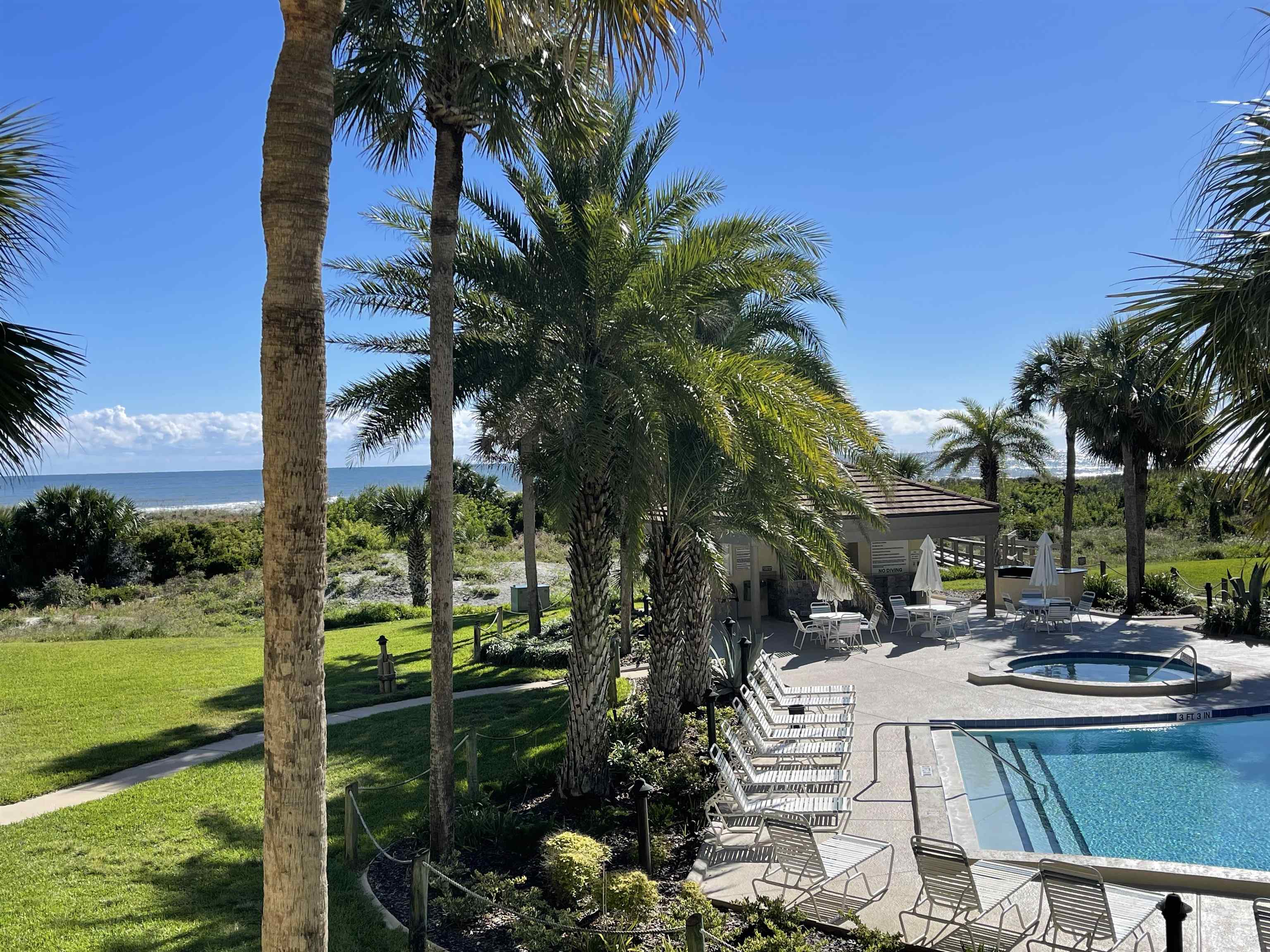 213 Pacifica Vista Way St. Augustine, FL 32080 - Photo 6 of 29 a view of a patio with table and chairs potted plants with palm trees
