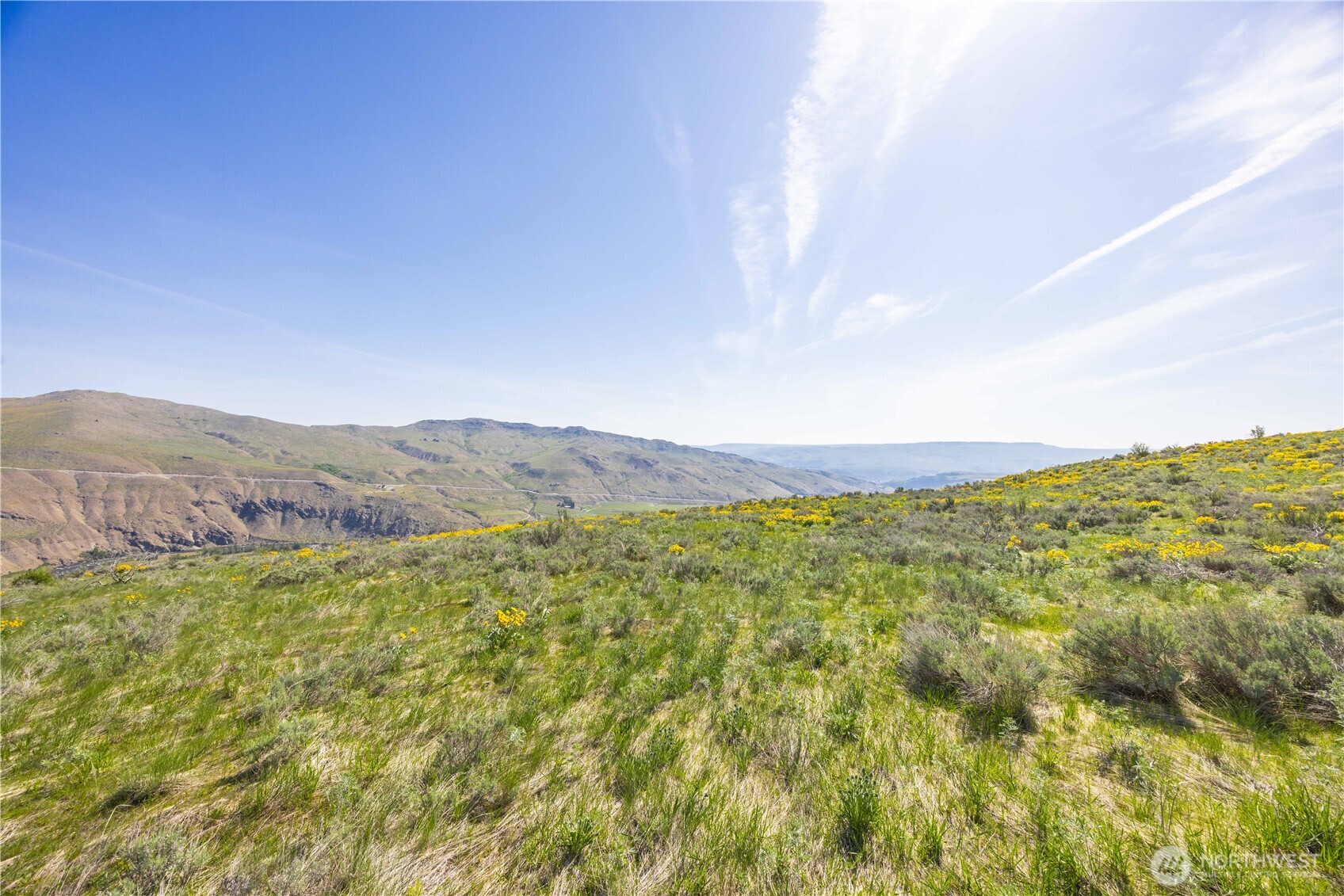 0 Goat Ridge, Unit 7 Pateros, WA 98846 - Photo 14 of 40 a view of a lush green forest with mountains in the background