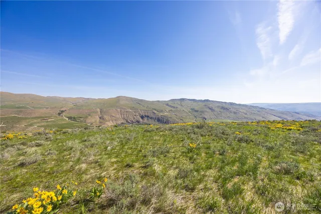 a view of a forest with mountains in the background