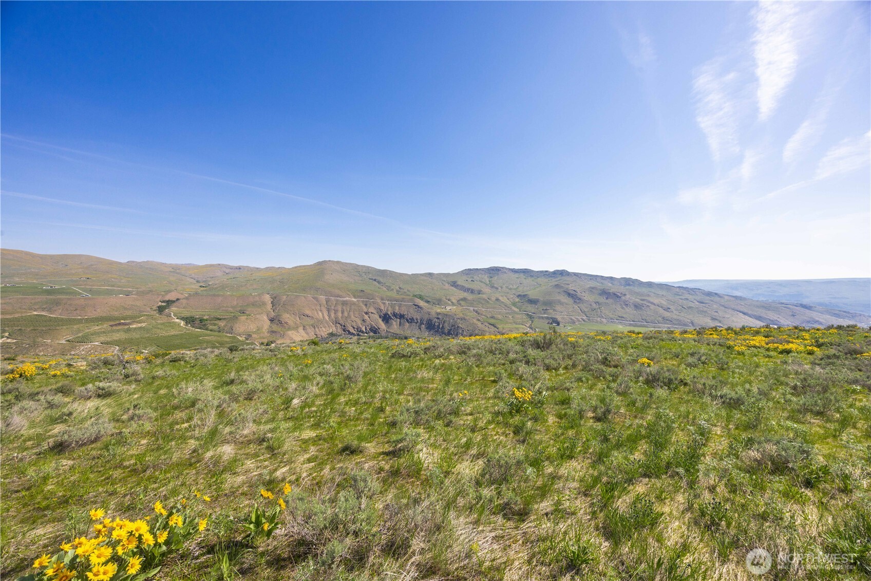 0 Goat Ridge, Unit 7 Pateros, WA 98846 - Photo 15 of 40 a view of a forest with mountains in the background
