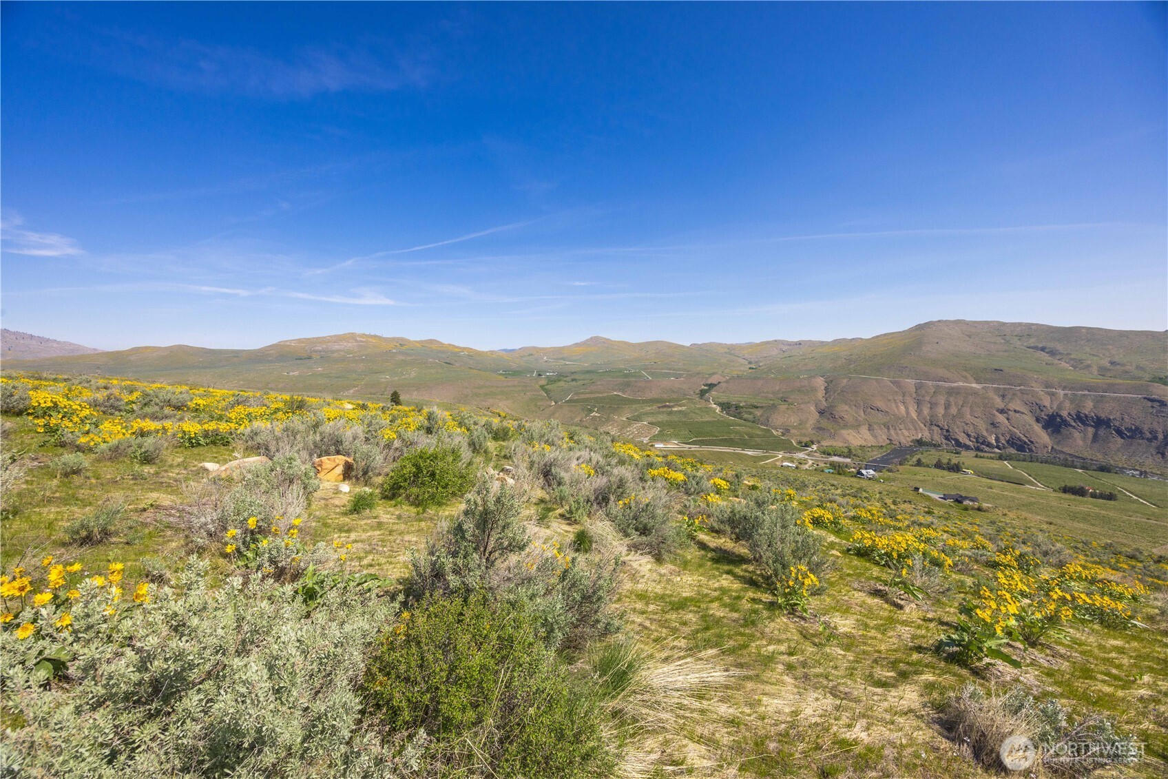 0 Goat Ridge, Unit 7 Pateros, WA 98846 - Photo 20 of 40 a view of a lush green forest with mountains in the background