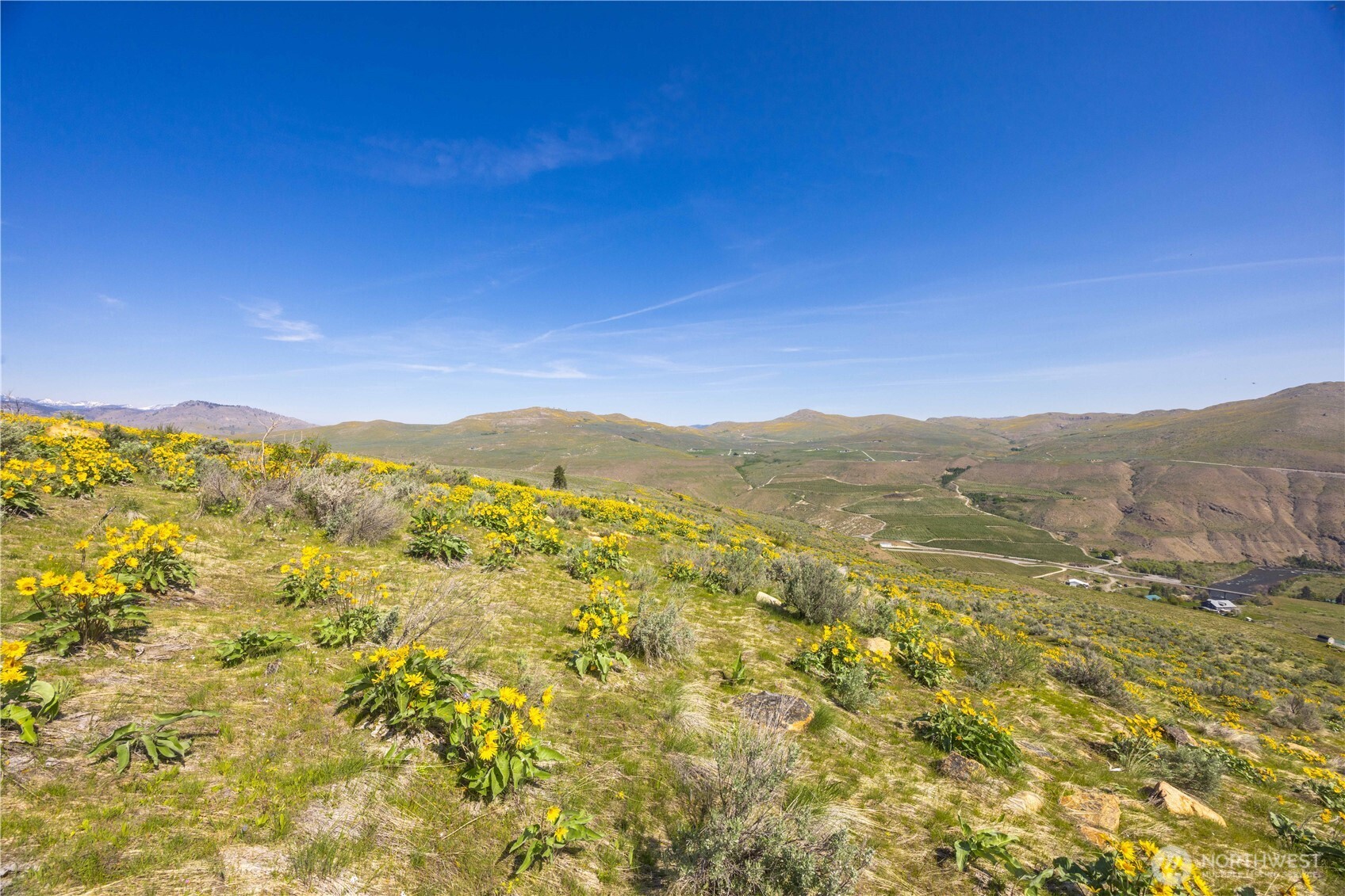 0 Goat Ridge, Unit 7 Pateros, WA 98846 - Photo 21 of 40 a view of a field with mountains in the background