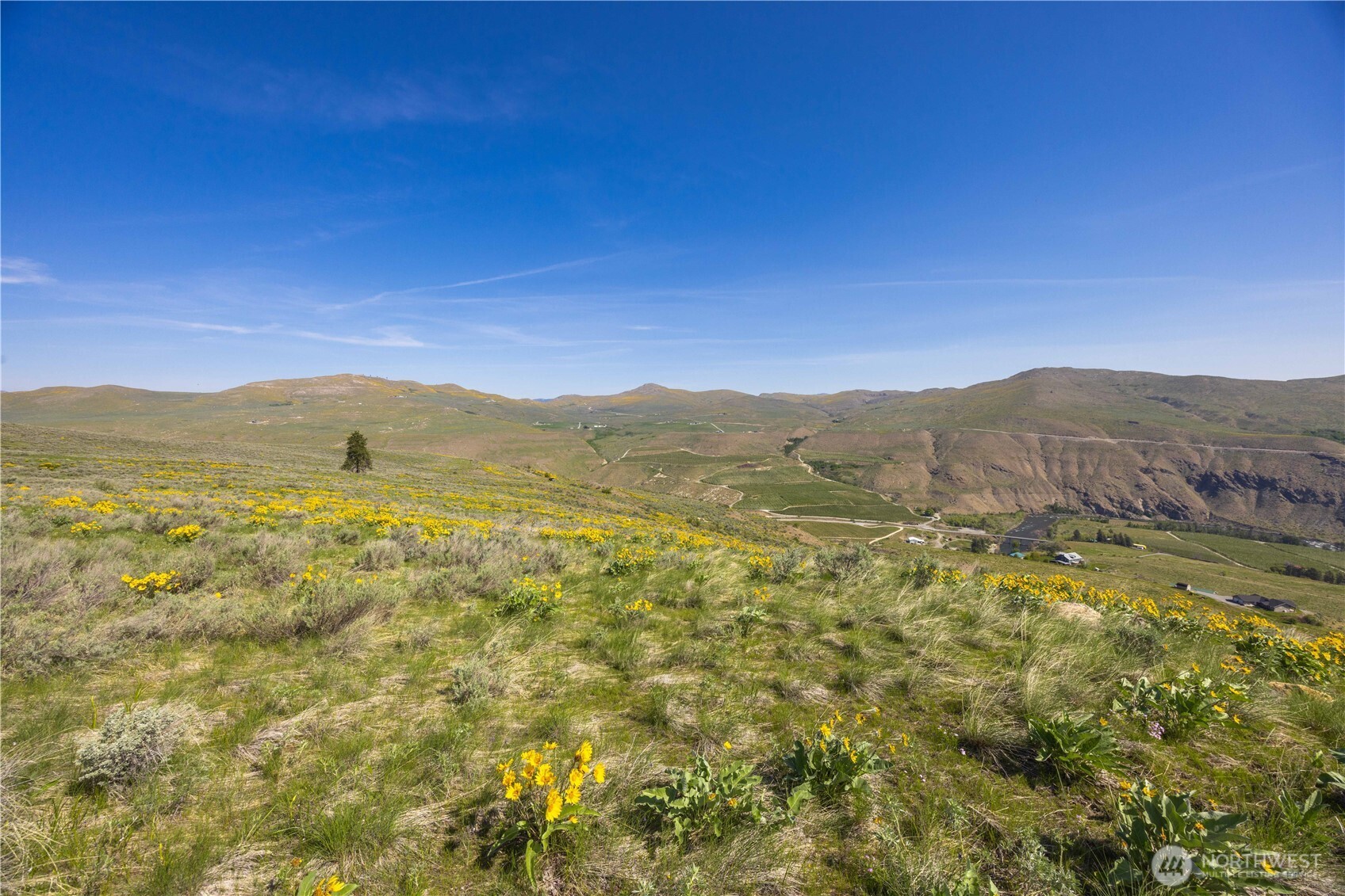 0 Goat Ridge, Unit 7 Pateros, WA 98846 - Photo 26 of 40