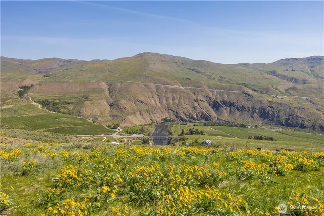 a view of mountain and a grassy field