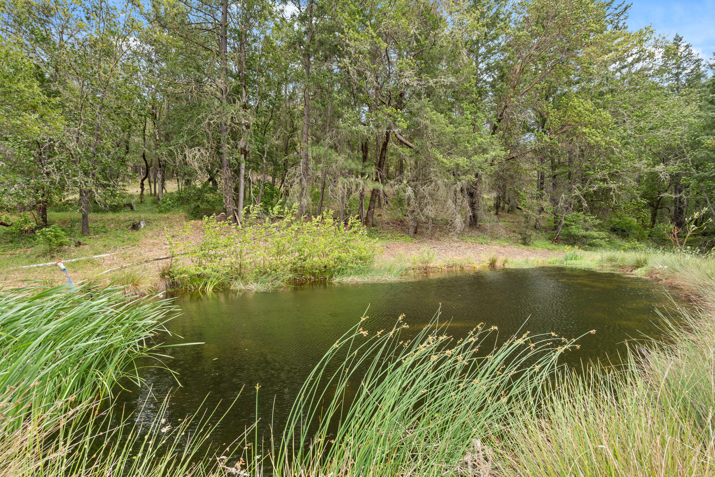 4046 Little Applegate Road Jacksonville, OR 97530 - Photo 50 of 65 17_ 4046 little applegate rd-16