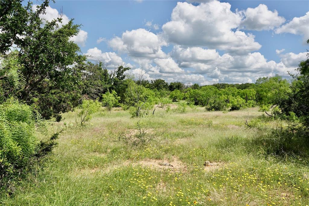 219 C R 550 Mullin, TX 76864 - Photo 28 of 37 a view of a bunch of trees and bushes