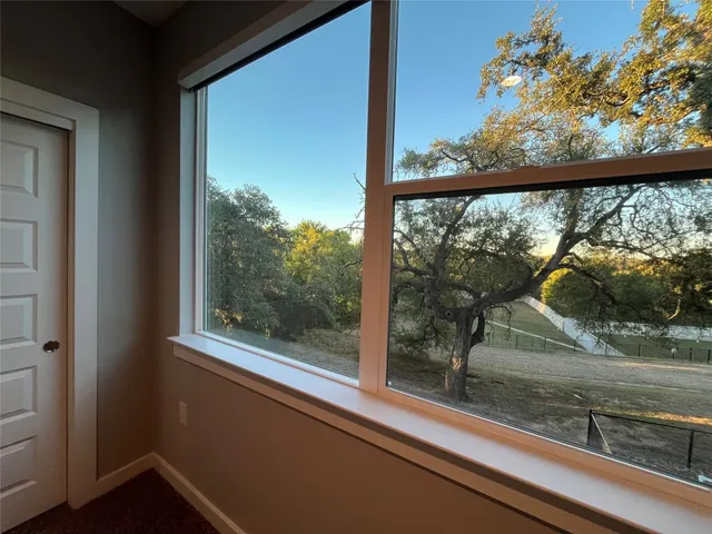 a view of a window and a tree
