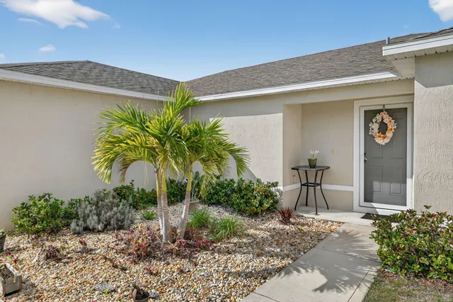 a potted plant sitting in front of a house