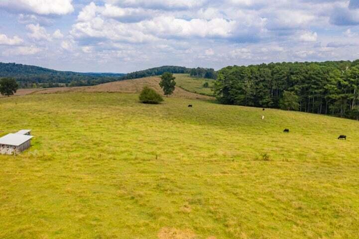 813 Ladd Springs Road Southeast Cleveland, TN 37323 - Photo 31 of 34 63
