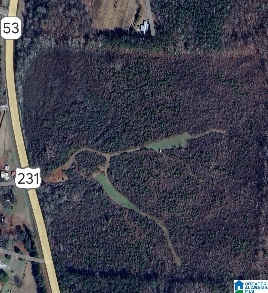 0 Highway 231 Vincent, AL 35178 - Photo 1 of 2