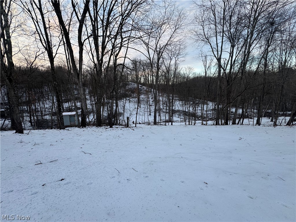 1105 Pacific Road Northeast Carrollton, OH 44615 - Photo 2 of 24