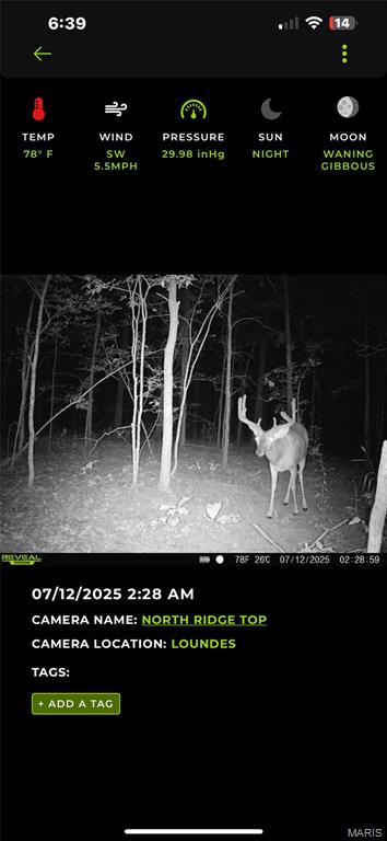 6483 Wayne Rte P Lowndes, MO 63951 - Photo 27 of 37