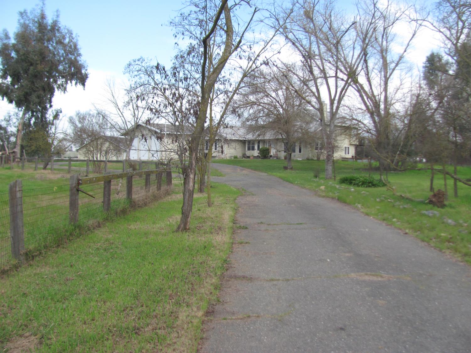 12501 Lee School Road Wilton, CA 95693 - Photo 8 of 18 a view of a park with large trees