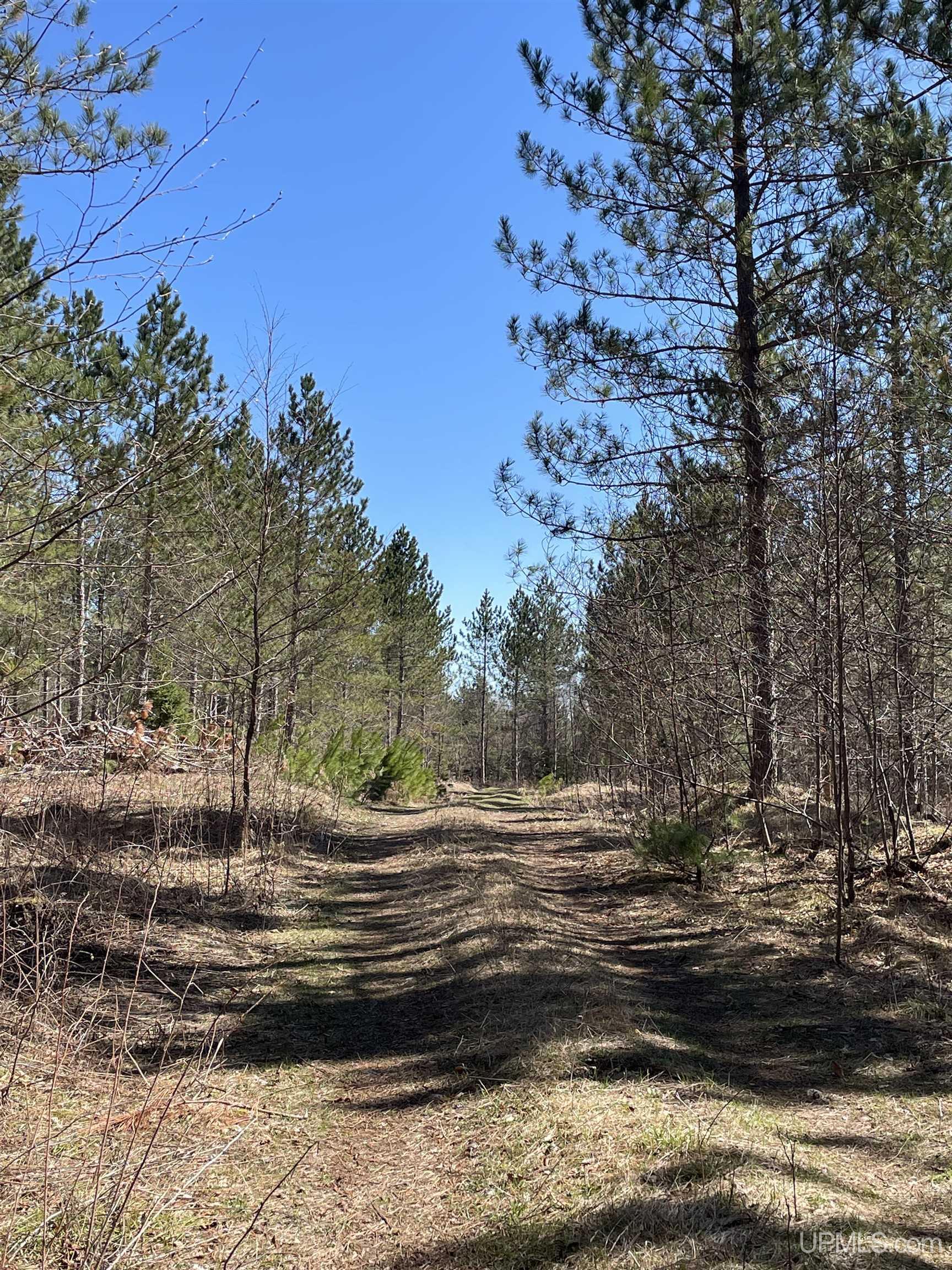 1 Sand Road Perronville, MI 49873 - Photo 11 of 19