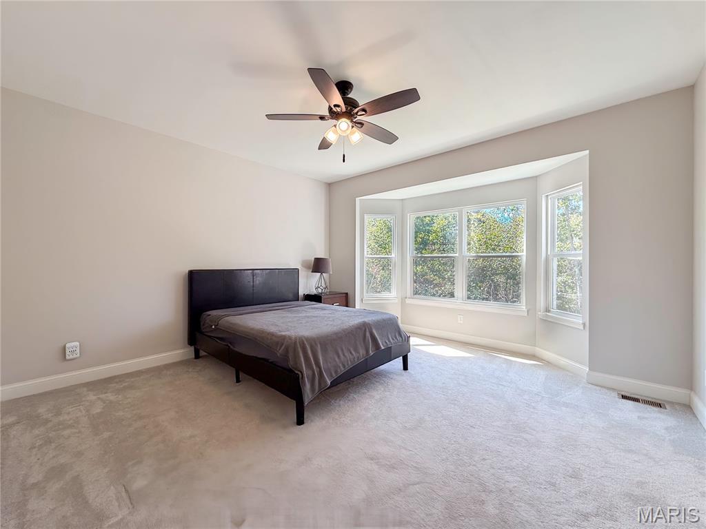 1509 Buck View Festus, MO 63028 - Photo 21 of 42