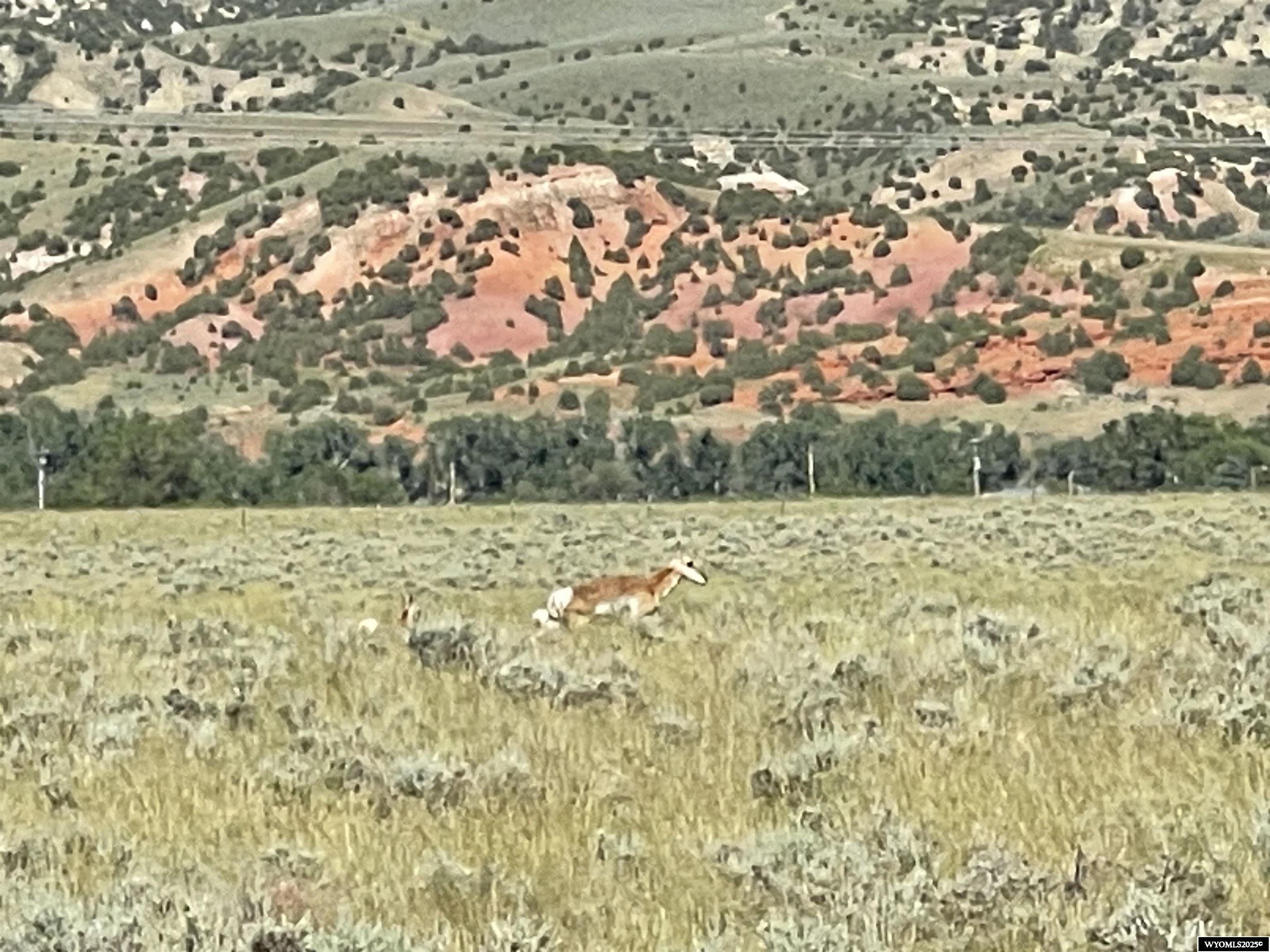 460 Red Rim Road Thermopolis, WY 82443 - Photo 4 of 18