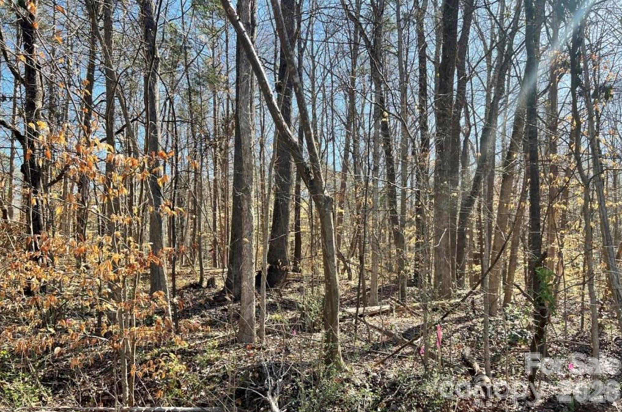 2 Lurecliff Place Fort Mill, SC 29708 - Photo 2 of 3