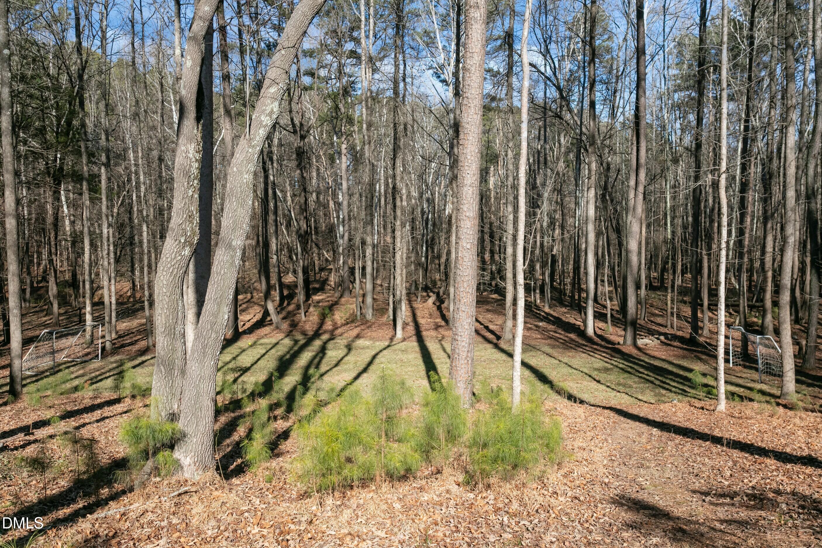 1524 Eglantyne Court Raleigh, NC 27613 - Photo 56 of 64 1524 Eglantyne Ct-40