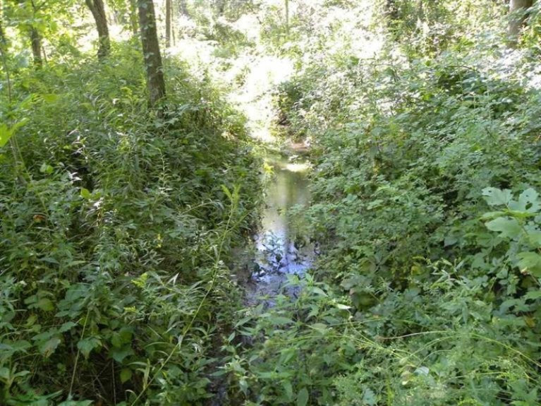 6121 Johnson Road Coloma, MI 49038 - Photo 25 of 26 Creek