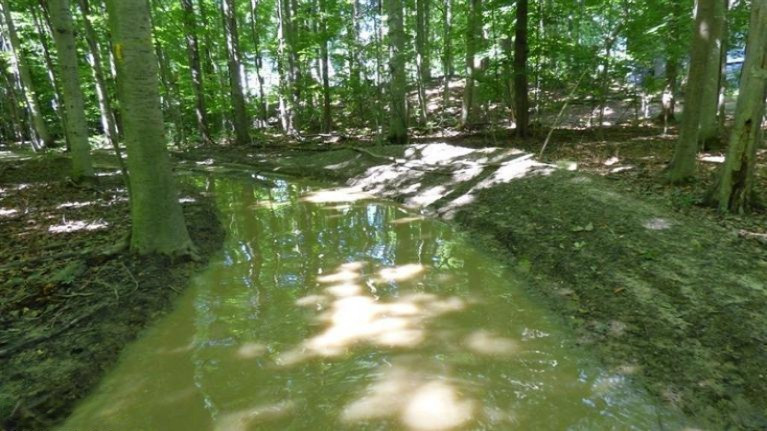6121 Johnson Road Coloma, MI 49038 - Photo 8 of 26 ATV trails