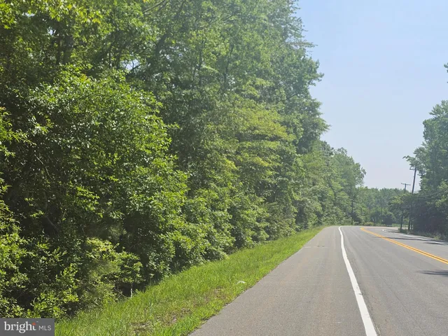 a view of a green field with plants
