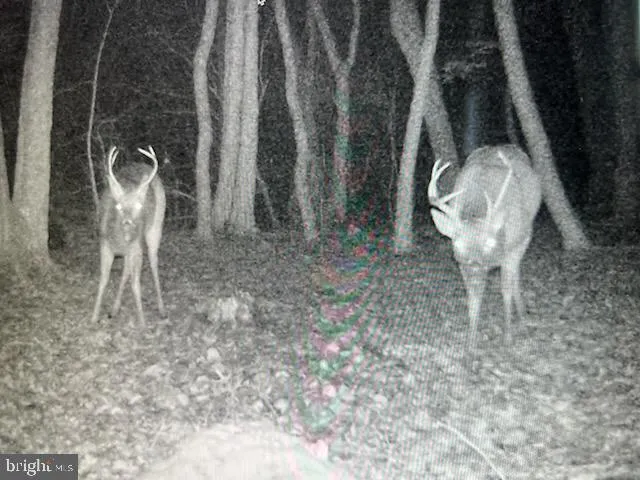 a view of a couch in the backyard