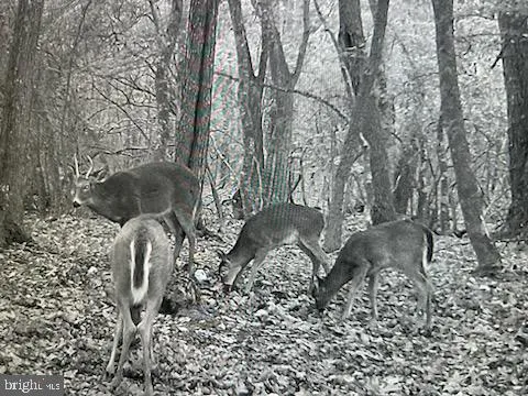 $239,000 | 47 Route Delmont Nj 08314, Delmont, NJ 08314