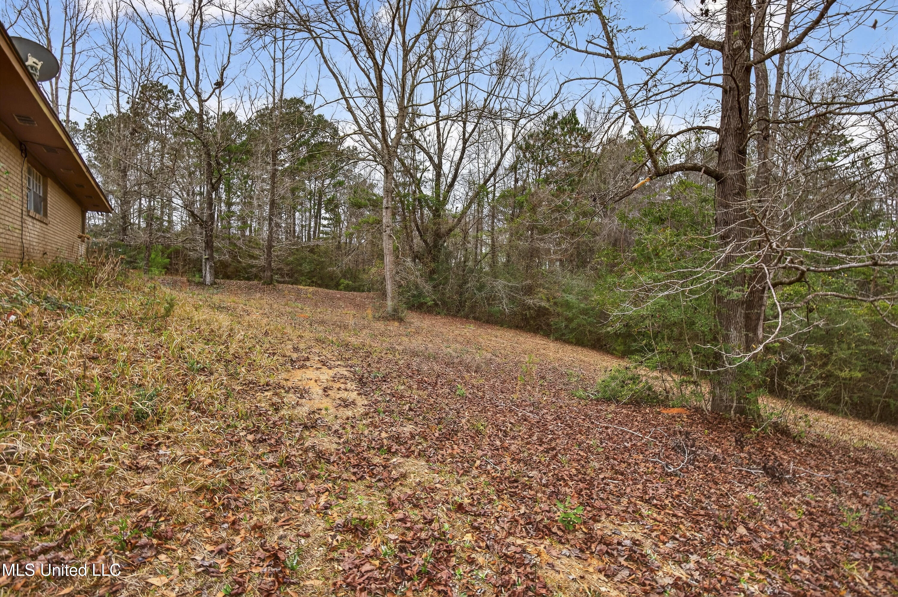 62 Derrick Road Wiggins, MS 39577 - Photo 22 of 34 62DerrickRd-7