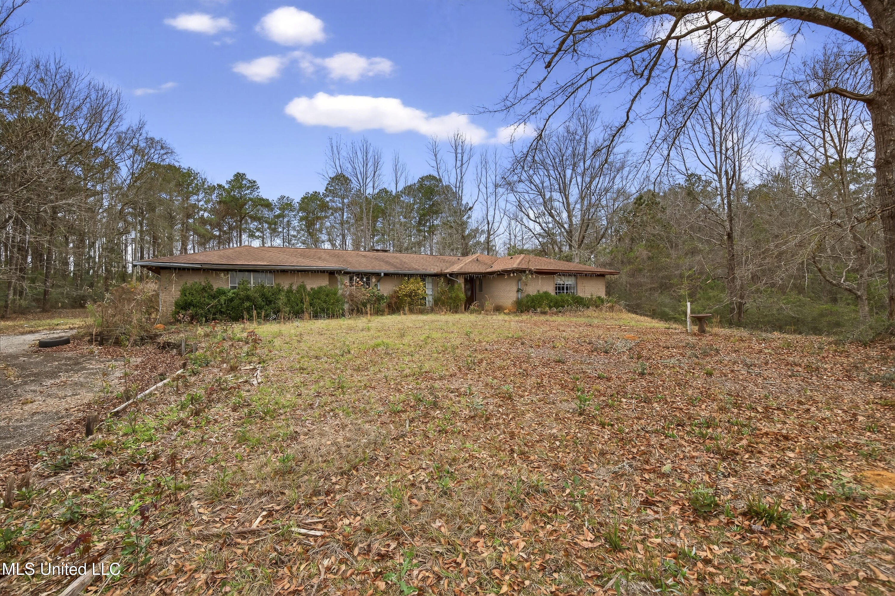 62 Derrick Road Wiggins, MS 39577 - Photo 24 of 34 62DerrickRd-3